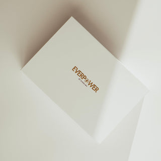 EVERPOWER Power Bank