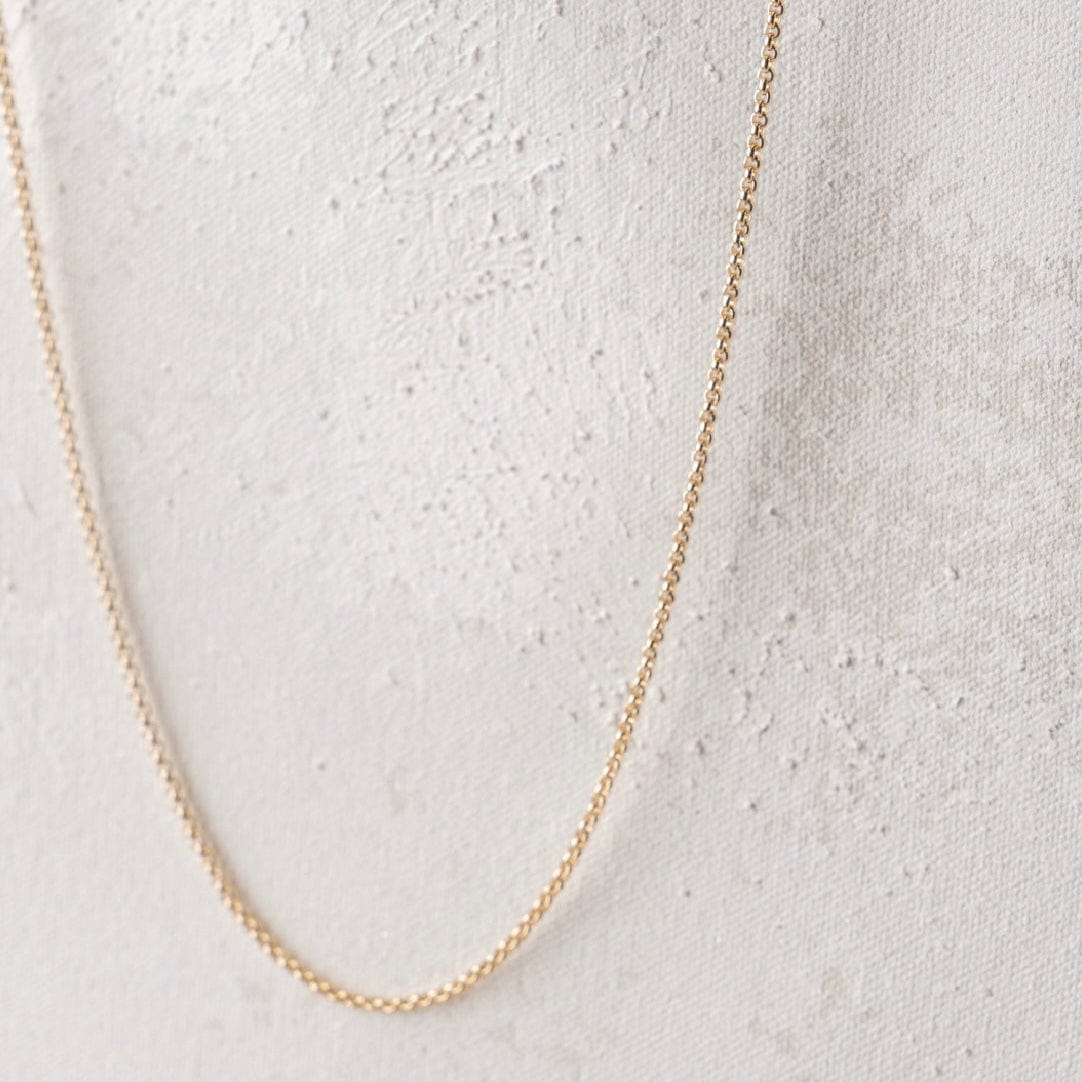 Gold chain necklace - 329BE3BD-ACD8