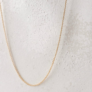 Gold chain necklace - 329BE3BD-ACD8