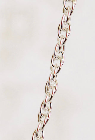 Silver chain detail - BFC27C26-9148-49EC-B148-0C0EC2EFA385
