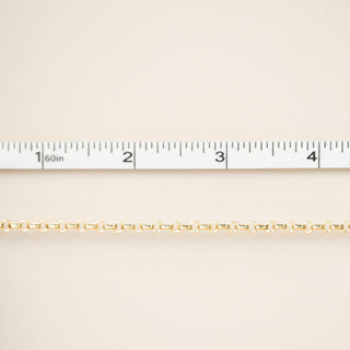 Gold chain on a beige background with a ruler for scale