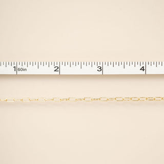 Gold chain on a beige background with a ruler for scale