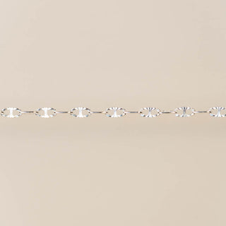 Theta Chain - SS (Hammered Links)