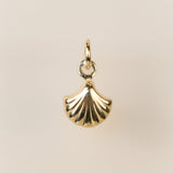 Gold Plated - Scallop Shell - 6.8mm