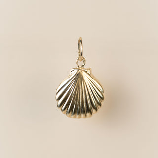 Gold Filled - Shell Charm - 11mm