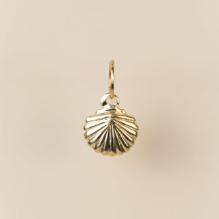 Gold Filled - Small Shell