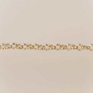 Rolo Chain - Small - GF
