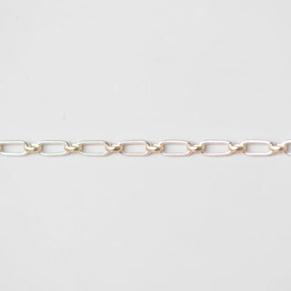 Linked Paperclip - Mixed Metal