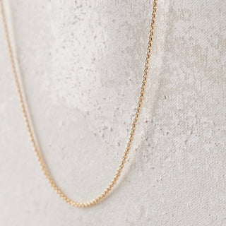 Gold chain necklace (F3AAD359) on white background