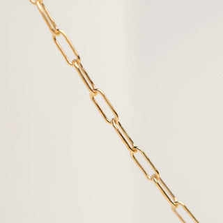 Gold link chain necklace - F67EBA59-F0CE-4DA4