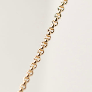 Gold chain necklace detail
