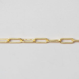Textured Paperclip - Large - GF
