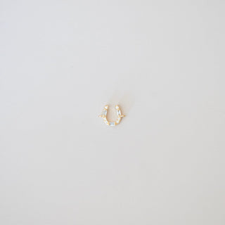 Gold horseshoe-shaped earring on a light gray background