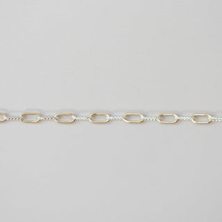 Twisted Paperclip - Mixed Metal