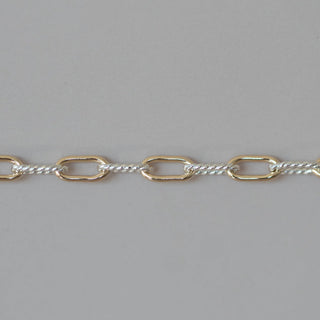 Twisted Paperclip - Mixed Metal