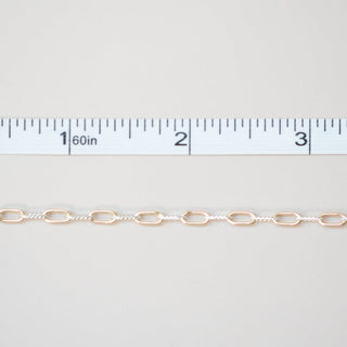 Twisted Paperclip - Mixed Metal