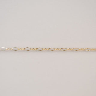 delicate gold chain