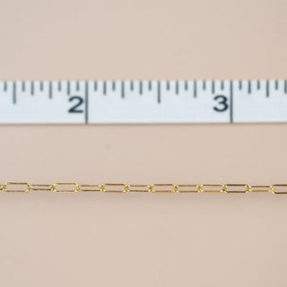 New Chain Arrival, gold chain with ruler, 2-3 inches