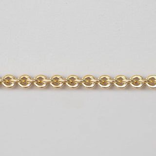 Flattened Rolo - Gold Filled