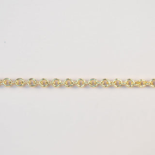 Gold chain necklace (chain05_13-31)