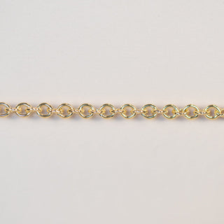 Gold chain detail, chain05_13-32