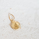 Gold Filled - Small Shell