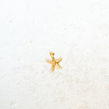 Gold Filled - Starfish - 8mm