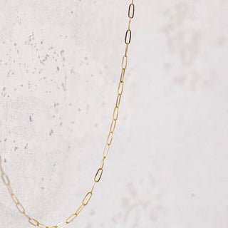 Gold chain necklace on white background