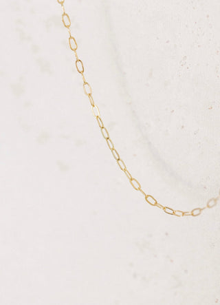 Gold chain necklace on white background