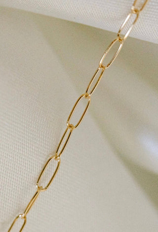 Gold chain necklace detail
