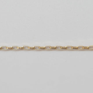 Long Link Box - Gold Filled