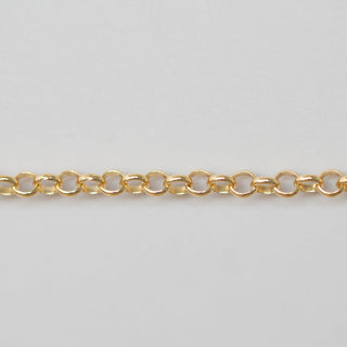Open Rolo - Large - Gold Filled