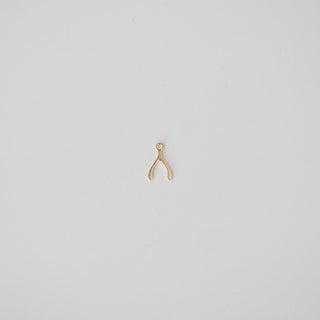 wishbone dangle charm